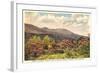 Mt. Mitchell, Western North Carolina-null-Framed Art Print