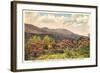 Mt. Mitchell, Western North Carolina-null-Framed Art Print