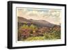 Mt. Mitchell, Western North Carolina-null-Framed Art Print