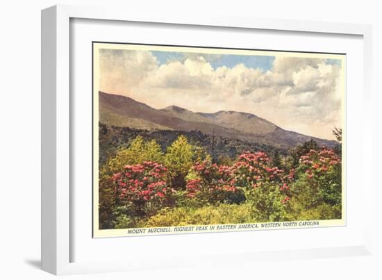 Mt. Mitchell, Western North Carolina-null-Framed Art Print