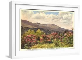 Mt. Mitchell, Western North Carolina-null-Framed Art Print