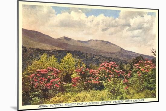 Mt. Mitchell, Western North Carolina-null-Mounted Art Print