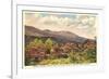 Mt. Mitchell, Western North Carolina-null-Framed Art Print