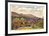 Mt. Mitchell, Western North Carolina-null-Framed Art Print