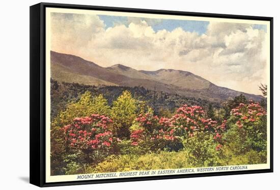 Mt. Mitchell, Western North Carolina-null-Framed Stretched Canvas