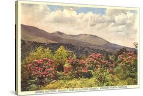 Mt. Mitchell, Western North Carolina-null-Stretched Canvas