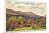 Mt. Mitchell, Western North Carolina-null-Mounted Premium Giclee Print