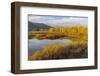 Mt. Moran and golden aspen trees from Oxbow Bend, Grand Teton National Park, Wyoming-Adam Jones-Framed Photographic Print