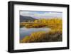 Mt. Moran and golden aspen trees from Oxbow Bend, Grand Teton National Park, Wyoming-Adam Jones-Framed Photographic Print