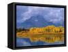 Mt, Moran and Snake River at Oxbow Bend, Grand Teton National Park, Wyoming, USA Autumn-Pete Cairns-Framed Stretched Canvas