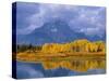 Mt, Moran and Snake River at Oxbow Bend, Grand Teton National Park, Wyoming, USA Autumn-Pete Cairns-Stretched Canvas