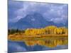 Mt, Moran and Snake River at Oxbow Bend, Grand Teton National Park, Wyoming, USA Autumn-Pete Cairns-Mounted Photographic Print