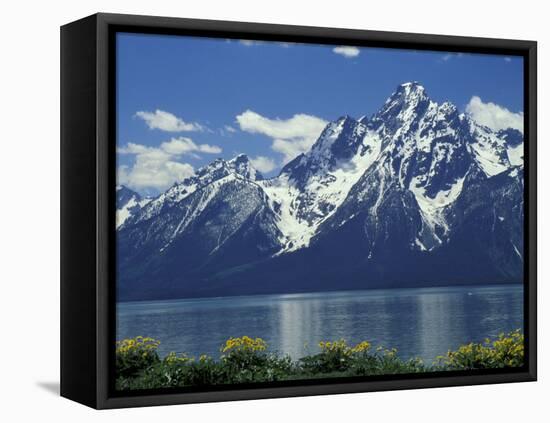 Mt. Moran from Jackson Lake, Grand Teton National Park, Wyoming, USA-Jamie & Judy Wild-Framed Stretched Canvas