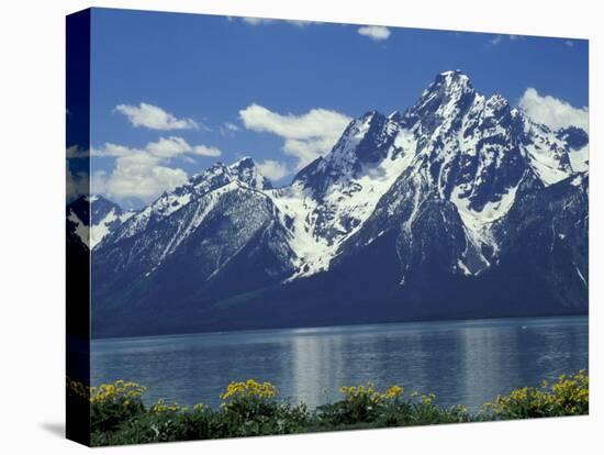 Mt. Moran from Jackson Lake, Grand Teton National Park, Wyoming, USA-Jamie & Judy Wild-Stretched Canvas