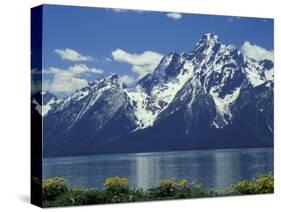 Mt. Moran from Jackson Lake, Grand Teton National Park, Wyoming, USA-Jamie & Judy Wild-Stretched Canvas