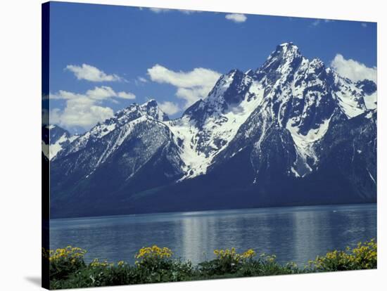 Mt. Moran from Jackson Lake, Grand Teton National Park, Wyoming, USA-Jamie & Judy Wild-Stretched Canvas