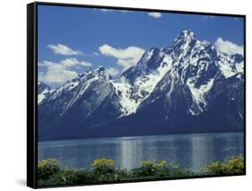 Mt. Moran from Jackson Lake, Grand Teton National Park, Wyoming, USA-Jamie & Judy Wild-Framed Stretched Canvas