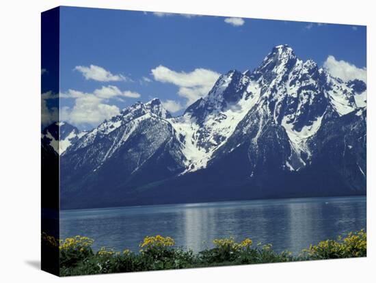 Mt. Moran from Jackson Lake, Grand Teton National Park, Wyoming, USA-Jamie & Judy Wild-Stretched Canvas