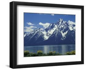Mt. Moran from Jackson Lake, Grand Teton National Park, Wyoming, USA-Jamie & Judy Wild-Framed Photographic Print