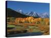 Mt. Moren, Oxbow Bend, Grand Tetons National Park, Wyoming, USA-Dee Ann Pederson-Stretched Canvas