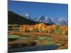 Mt. Moren, Oxbow Bend, Grand Tetons National Park, Wyoming, USA-Dee Ann Pederson-Mounted Photographic Print