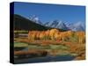 Mt. Moren, Oxbow Bend, Grand Tetons National Park, Wyoming, USA-Dee Ann Pederson-Stretched Canvas