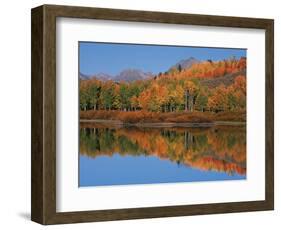 Mt. Moren, Oxbow Bend, Grand Tetons National Park, Wyoming, USA-Dee Ann Pederson-Framed Photographic Print