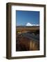 Mt Ngauruhoe and Desert Road, Tongariro National Park, Central Plateau, North Island, New Zealand-David Wall-Framed Photographic Print