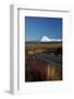 Mt Ngauruhoe and Desert Road, Tongariro National Park, Central Plateau, North Island, New Zealand-David Wall-Framed Photographic Print