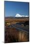 Mt Ngauruhoe and Desert Road, Tongariro National Park, Central Plateau, North Island, New Zealand-David Wall-Mounted Photographic Print