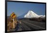 Mt Ngauruhoe and Desert Road, Tongariro National Park, Central Plateau, North Island, New Zealand-David Wall-Framed Photographic Print