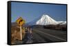 Mt Ngauruhoe and Desert Road, Tongariro National Park, Central Plateau, North Island, New Zealand-David Wall-Framed Stretched Canvas