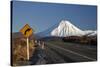 Mt Ngauruhoe and Desert Road, Tongariro National Park, Central Plateau, North Island, New Zealand-David Wall-Stretched Canvas
