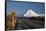 Mt Ngauruhoe and Desert Road, Tongariro National Park, Central Plateau, North Island, New Zealand-David Wall-Framed Stretched Canvas