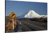 Mt Ngauruhoe and Desert Road, Tongariro National Park, Central Plateau, North Island, New Zealand-David Wall-Stretched Canvas