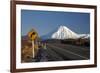 Mt Ngauruhoe and Desert Road, Tongariro National Park, Central Plateau, North Island, New Zealand-David Wall-Framed Photographic Print