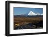 Mt Ngauruhoe and Desert Road, Tongariro National Park, Central Plateau, North Island, New Zealand-David Wall-Framed Photographic Print