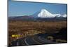 Mt Ngauruhoe and Desert Road, Tongariro National Park, Central Plateau, North Island, New Zealand-David Wall-Mounted Photographic Print