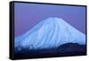 Mt Ngauruhoe at dawn, Tongariro National Park, Central Plateau, North Island, New Zealand-David Wall-Framed Stretched Canvas