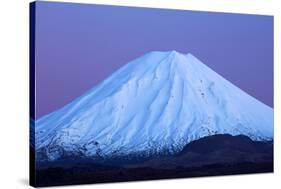 Mt Ngauruhoe at dawn, Tongariro National Park, Central Plateau, North Island, New Zealand-David Wall-Stretched Canvas