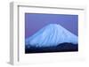 Mt Ngauruhoe at dawn, Tongariro National Park, Central Plateau, North Island, New Zealand-David Wall-Framed Photographic Print