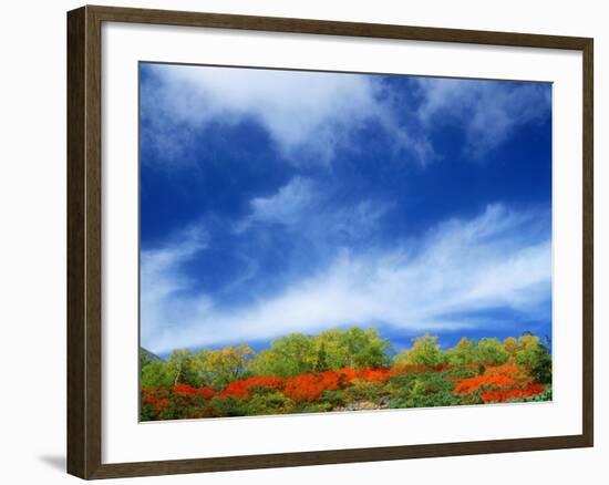 Mt. Norikura-null-Framed Photographic Print