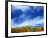 Mt. Norikura-null-Framed Photographic Print