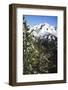 Mt Olympus, Greece, Eastern Slopes in September, showing tree-line, c20th century-CM Dixon-Framed Photographic Print
