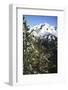 Mt Olympus, Greece, Eastern Slopes in September, showing tree-line, c20th century-CM Dixon-Framed Photographic Print