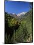 Mt. Olympus, Greece-Jon Arnold-Mounted Photographic Print