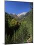 Mt. Olympus, Greece-Jon Arnold-Mounted Photographic Print