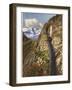 Mt Pilatus Railway-null-Framed Photographic Print