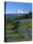 Mt. Rainer in distance, Meadows, Adams Wilderness, Mt, Washington, USA-Charles Gurche-Stretched Canvas