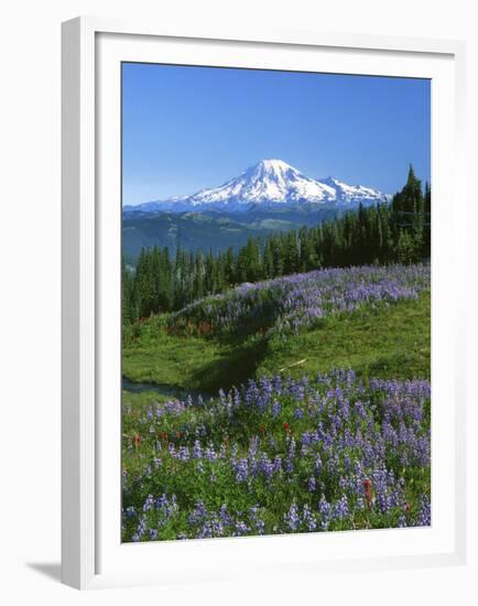 Mt. Rainer in distance, Meadows, Adams Wilderness, Mt, Washington, USA-Charles Gurche-Framed Premium Photographic Print